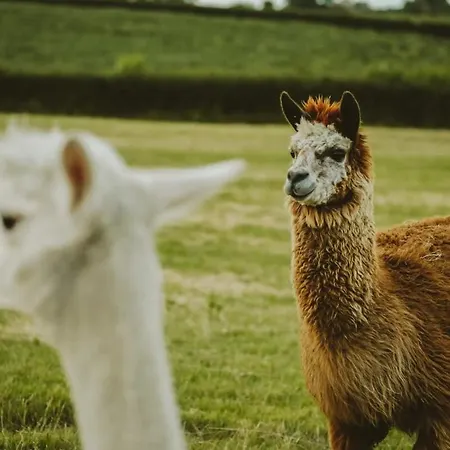 The Stable- Hopewell * 브리스틀