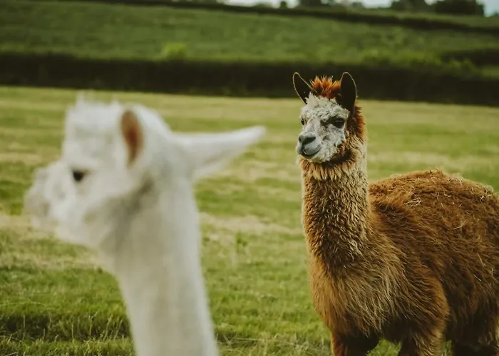 The Stable- Hopewell * 브리스틀