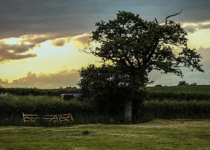 The Stable- Hopewell *