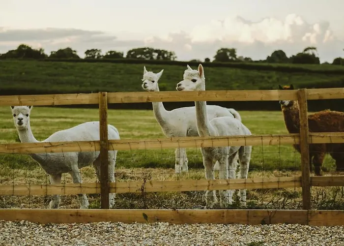 펜션 The Stable- Hopewell