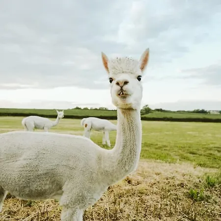 The Stable- Hopewell Bristol