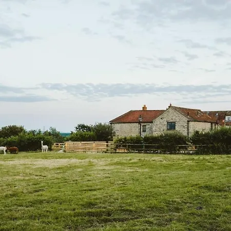 Hébergement de vacances The Stable- Hopewell