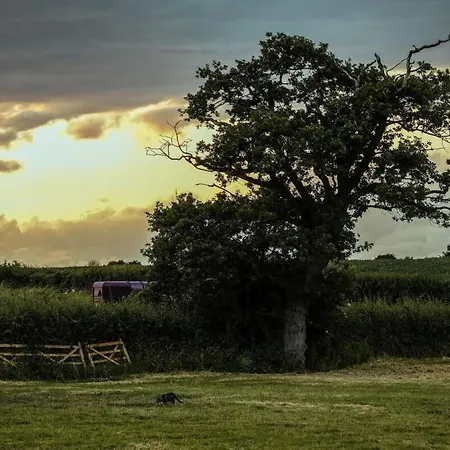 The Stable- Hopewell *