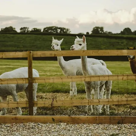 Vakantiehuis The Stable- Hopewell